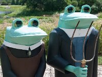 2016 - MortArboretumFrogs 0019 : Morton Arboritum, 2016 - Morton Frogs
